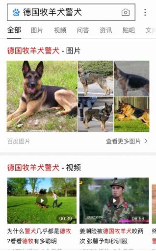 德国牧羊犬