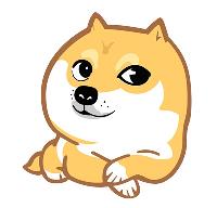 宠物