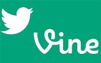 Vine