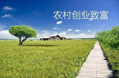 农村创业致富好项目:月入2万的10个小生意