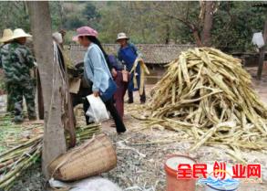 [微商推广哪家好]适合夏季做的5种生意年赚百万本钱不多做什么小生意