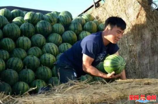 [做什么生意投资小利润高]在农村这4种生意也不错，不打工不种地，一年赚7、