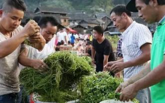 穷疯了快速挣钱的法子农村创业什么样的项目“钱”景好？