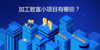 农村包销路的加工厂,加工致富小项目有哪些?