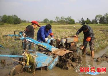 不上班的100种活法在农村3个年挣10万的致富方法