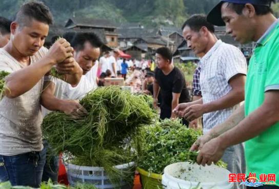 [做什么生意投资小利润高]打工累了不妨选择回农村创业，“钱”景很好的小项