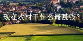 藏在农村不起眼的暴利生意有哪些(在农村做加工厂加工什么赚钱利润高)