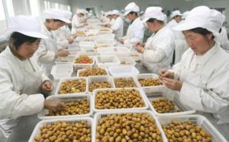 在家创业有什么好项目?(全民创业网推荐5个在家可以创业的项目)
