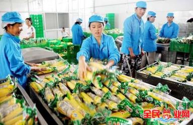 适合年轻人农村创业的小型加工致富项目(适合农村6个小型加工厂项目)