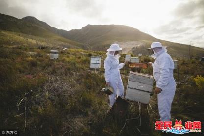 2020年农村十大暴利养殖业好赚钱(2020年现在养殖什么最赚钱?)