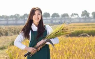 大学生创业农村创业就是养猪、喂鸡或种点作物?