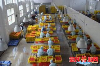2020年做什么生意好，可以在家门口有3个项目可做比打工挣钱