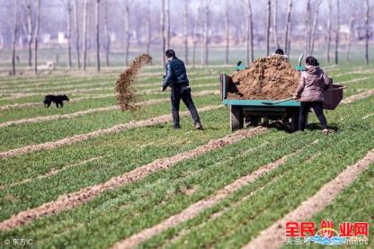 最有前景的小型工厂 (在农村县城或乡镇能做的小型加工厂暴利项目)